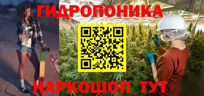 гидра Кинель
