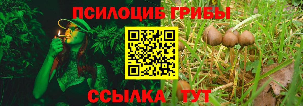Псилоцибиновые грибы Psilocybe  Вход с VPN  Аксай 
